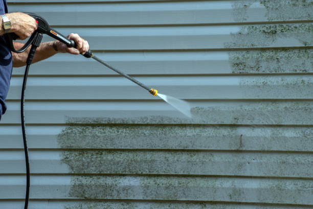 Best Spring Cleaning  in Vadnais Heights, MN